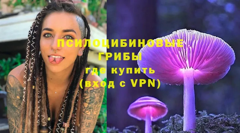 Галлюциногенные грибы Psilocybe  Алдан 